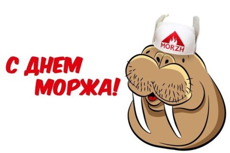 Поздравления с днём рождения моржа