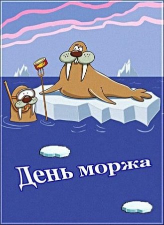 День моржа 24 ноября картинки