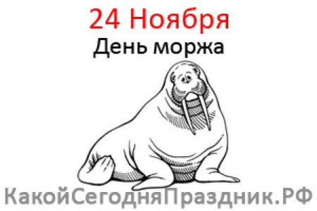День моржа