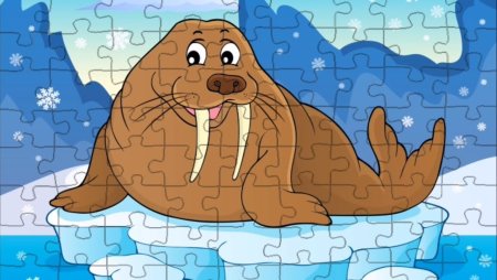 Моржи мультяшные