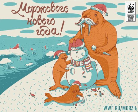 Морж поздравляет с новым годом