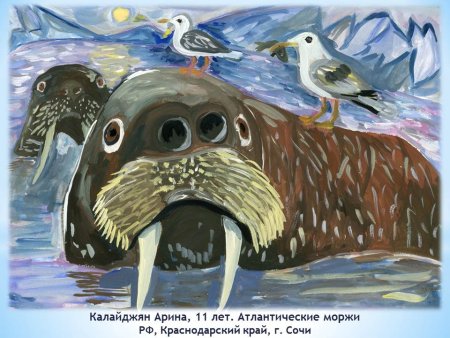 Название команды в день моржа