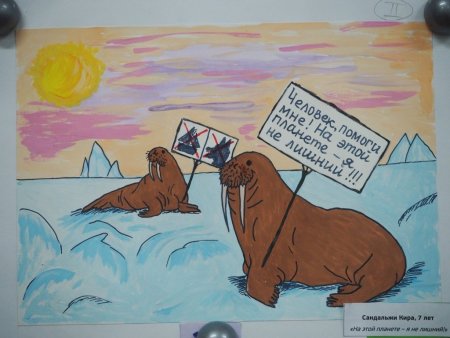 Выставка рисунков про Арктику