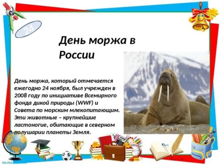 День моржа в России