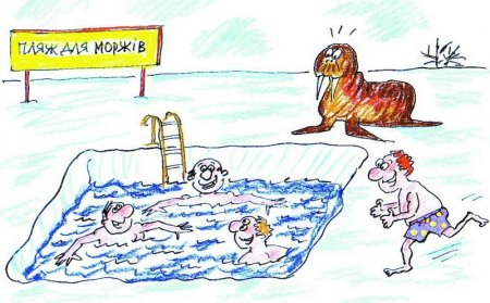 Морж карикатура