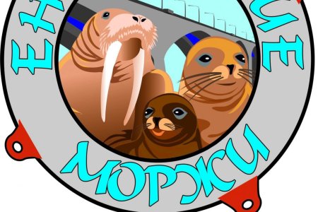 Логотипы клубов моржей