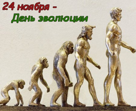 День эволюции