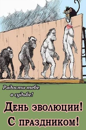 День эволюции 24 ноября картинки