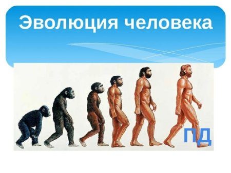 Эволюция человека от рождения