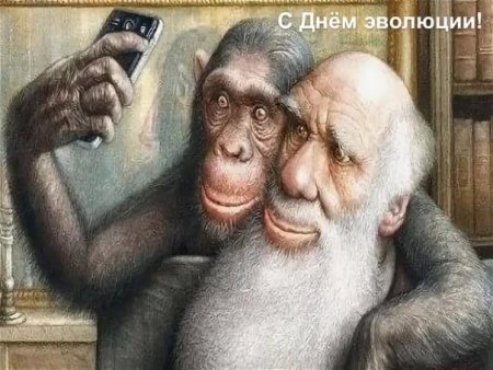 День эволюции