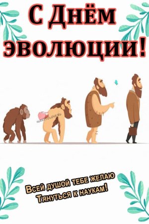 День эволюции