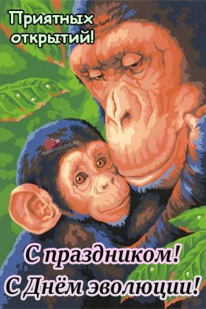 24 Ноября праздник открытки