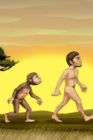 Darwin SIM vs gay marriage and abortion
