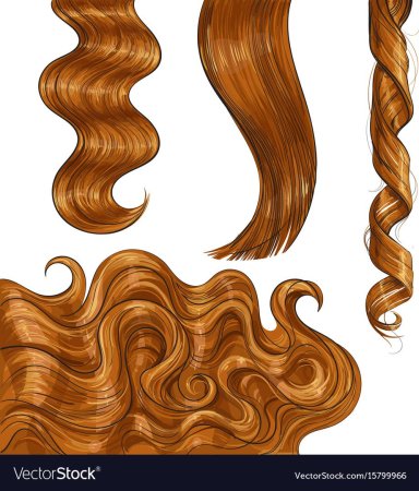 Иллюстрации с волосами волнами