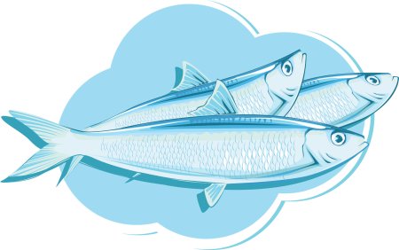 Сардина рисунок