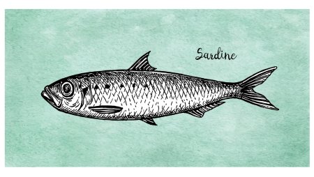 Рыбка Сардинка рисунок