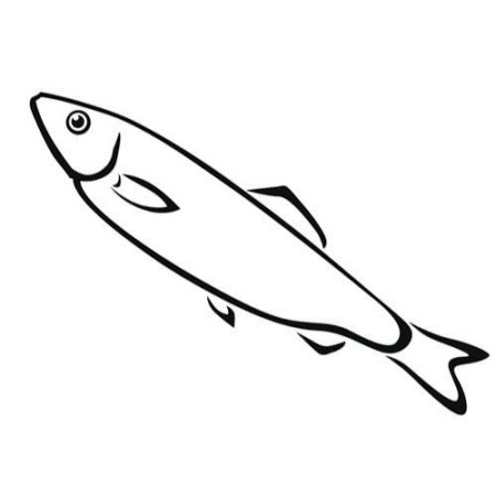 Контур рыбы сардина
