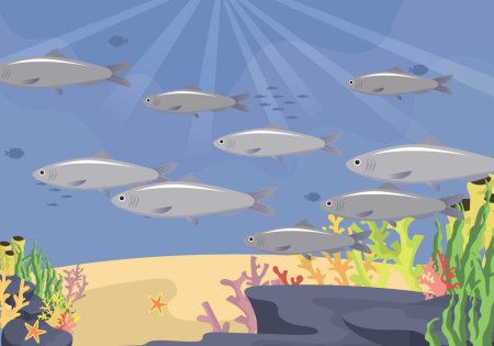 Сардины вектор