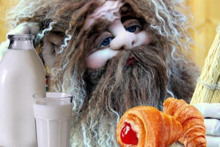 Домовые духи