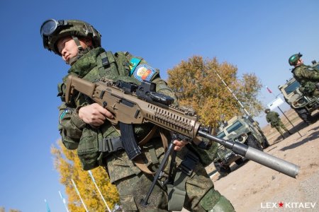 День российского военного Миротворца 25 ноября