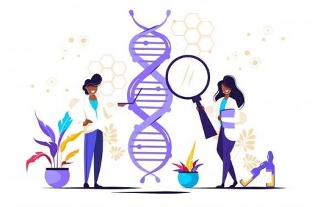 ДНК прикольные картинки