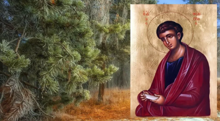 Куделица (Филиппов день)