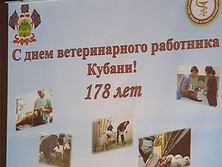 День ветеринарной службы Кубани