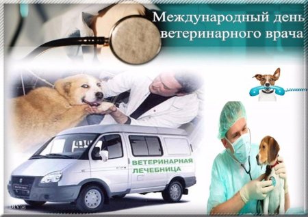 С днем ветеринарного врача