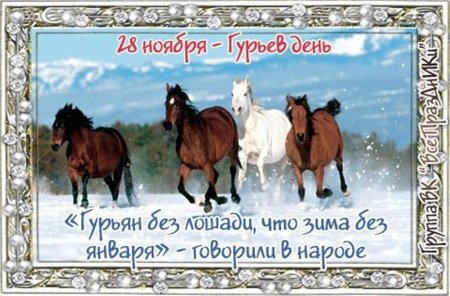 Гурьев день 28 ноября