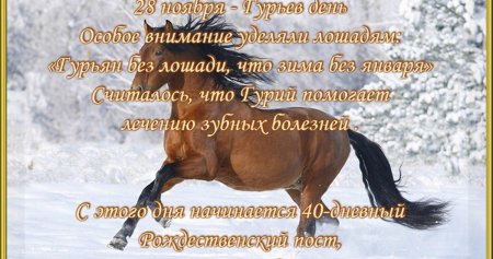 28 Ноября 2022 народные приметы