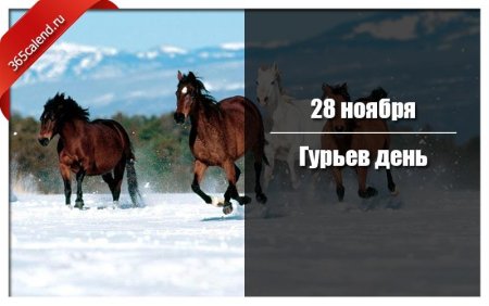 Народный календарь 28 ноября Гурьев день