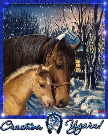 Открытки с лошадьми