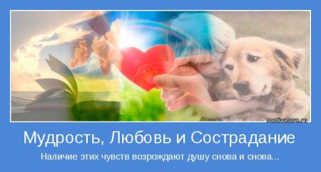 Всемирный день сострадания