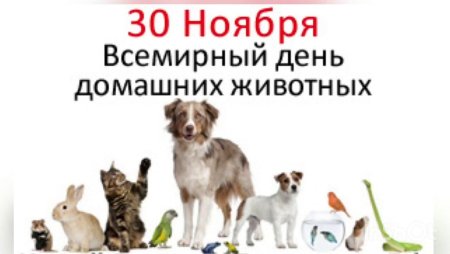 Всемирный день домашних животных 30 ноября
