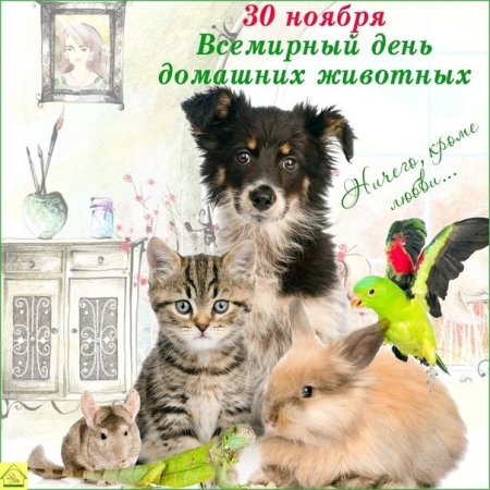 30 Ноября Всемирный праздник домашних животных