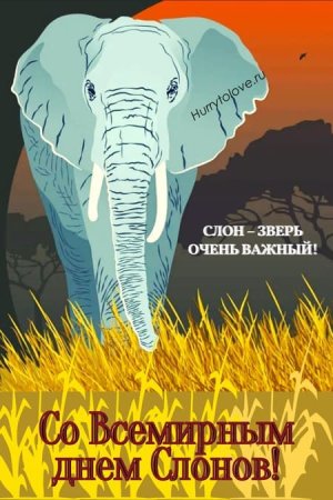 Всемирный день слонов открытки