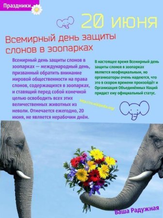Всемирный день слонов