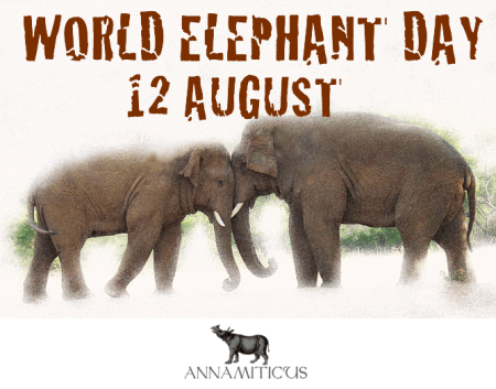 Всемирный день слонов в детском саду