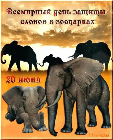 День защиты слонов в зоопарках