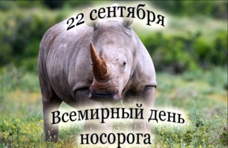 Всемирный день Носорогов 22 сентября