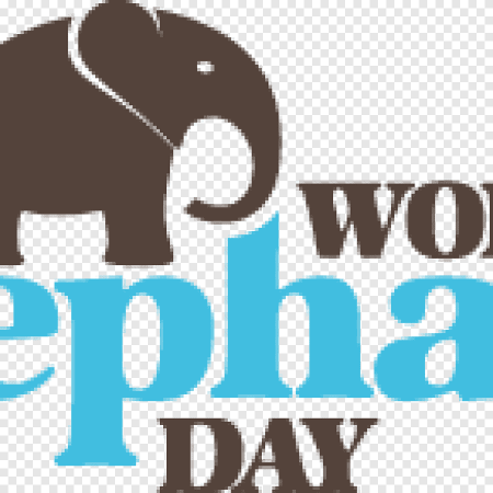 Международный день слона